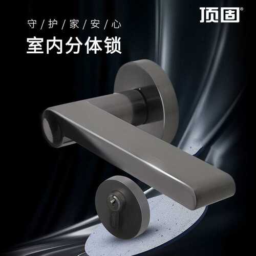 顶固（TOPSTRONG）室内门锁门把手卧室锁房门锁分体锁黑色轻奢静
