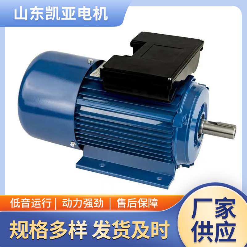 山东厂家直供 单项YL电动机220V 铜芯电动机 多种型号 发货及时