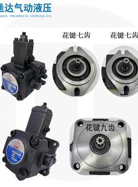 变量叶片泵SVPF-12/30/40/20-55/70-20高压泵SVPF-40-70-20液压泵