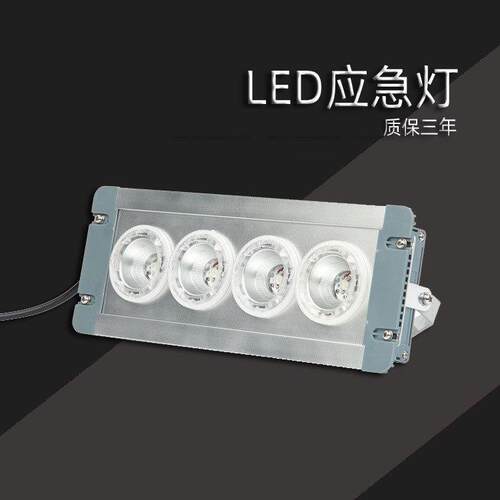 ZL8846-E 配电房应急低顶灯LED固态免维护事故应急照明灯GMD9124A