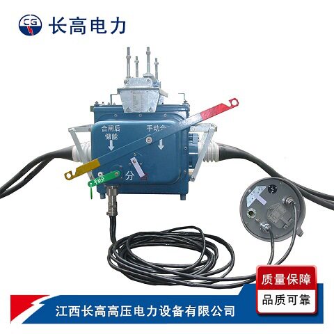 10kv户外高压真空断路器FZW28-12F/630智能分界开关FZW28 VSP5-12