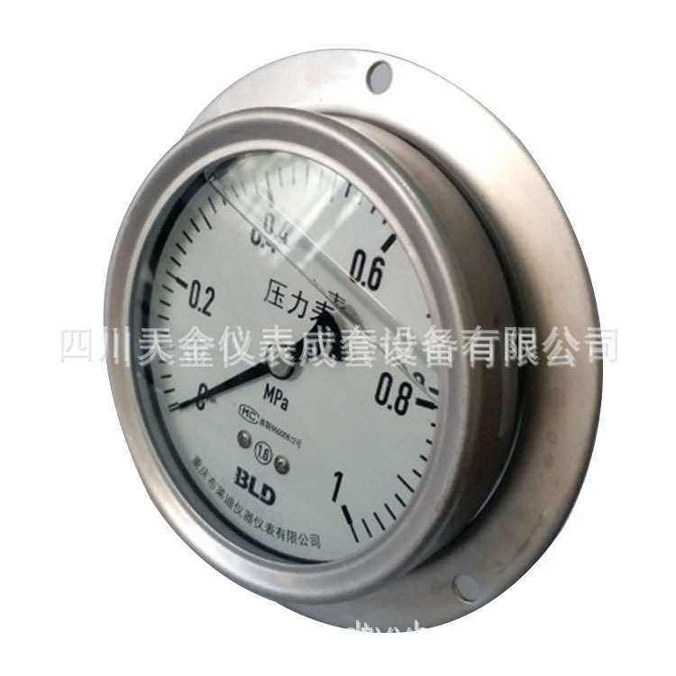 重庆布莱迪仪器仪表有限公司YTN-100HZT不锈钢耐震压力表M20*1.5,3C数码配件,USB灯,淘宝优惠券,粉丝福利购,淘宝优惠卷