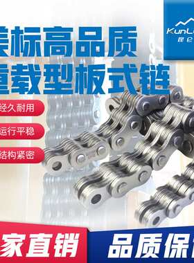 10吨叉车链条LH2434/BL1234 LH2444/BL1244重载型板链立体车库专