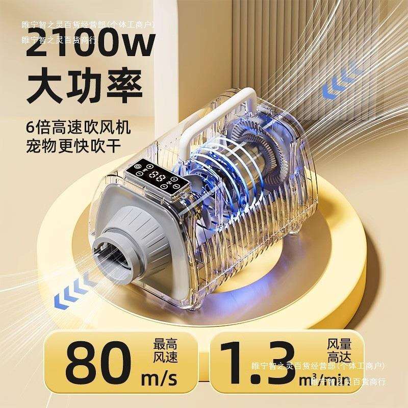 宠物吹水机吹风机静音大功率家用德国吹干洗澡猫咪超狗狗