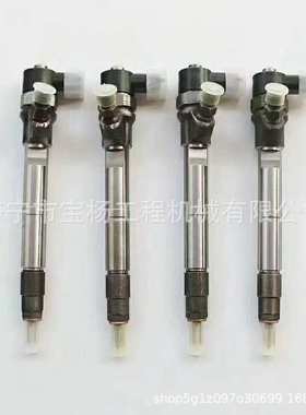 0433172431共轨喷油器0445110541 0433172351喷油嘴总成