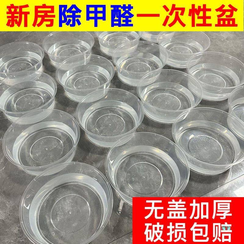 除甲醛一次性水盆无盖大盆形 西瓜盒外卖水果捞 吸水花盆 野炊