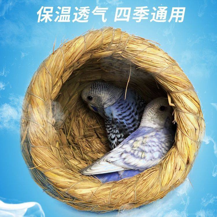 编鸟窝鸟巢虎皮牡丹玄凤鹦鹉巢窝保暖窝鸡窝玩具用品大全厂家,宠物/宠物食品及用品,鸟禽其他,淘宝优惠券,粉丝福利购,淘宝优惠卷