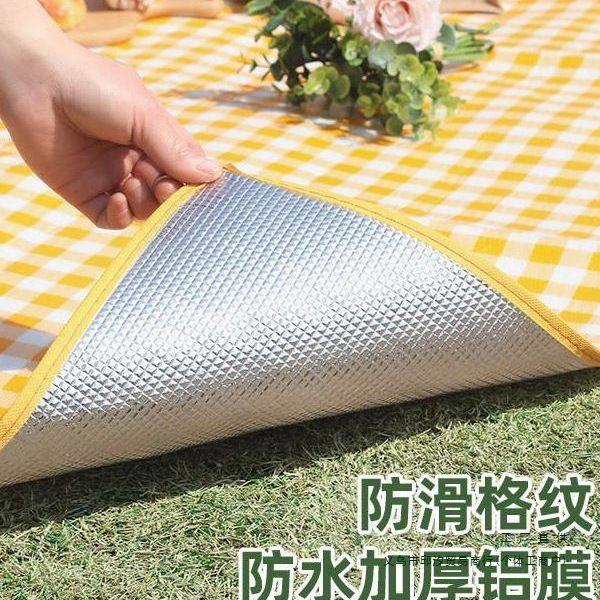 野餐垫户外防潮垫防水加厚便携徒步沙滩垫便携露营野炊草坪地垫子