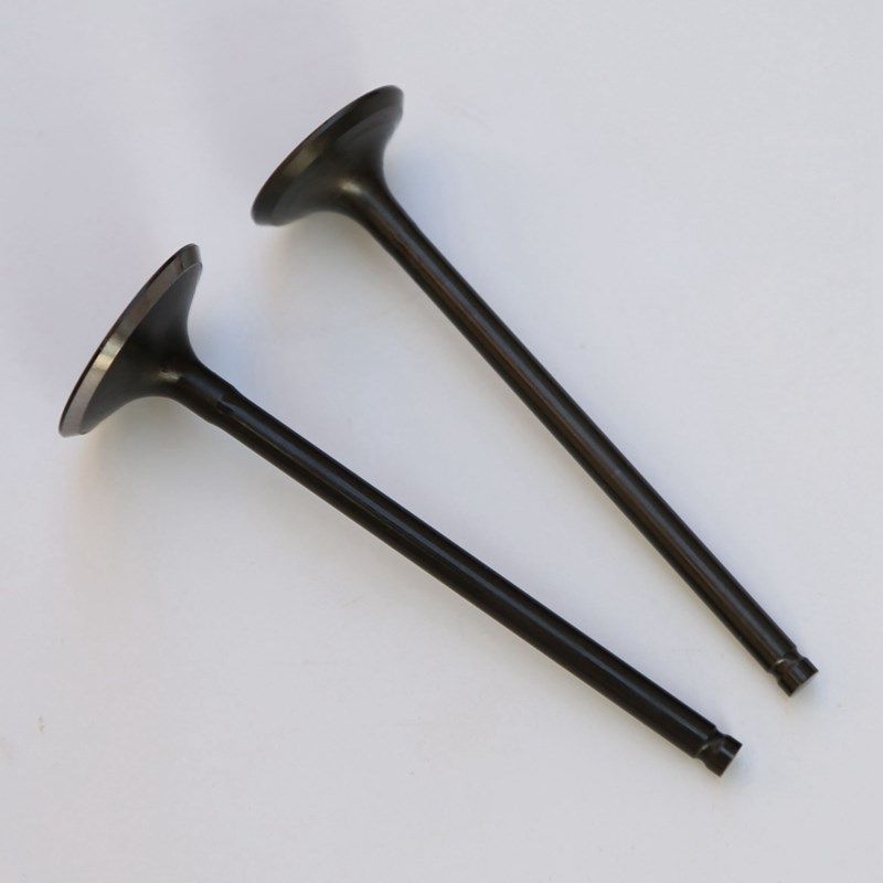 适用TSR发动机DM150S(HJ150u-23A)HJ150-6D 银豹HJ150-3C/3E气门