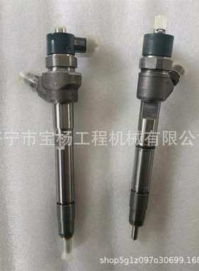 0445110293共轨喷油器0445110407 0433172022喷油嘴总成