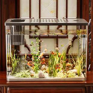 鱼缸玻璃缸带盖水族箱塑料生态缸家用客厅透明小型茶桌桌面造景