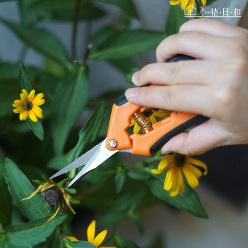 小椿日和 尖嘴园艺剪刀 修剪细软树枝残花枯叶不锈钢修枝剪