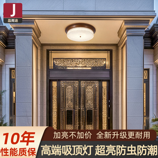 大门口照明灯超亮别墅入户大门吸顶灯户外防水农村自建房阳台顶灯