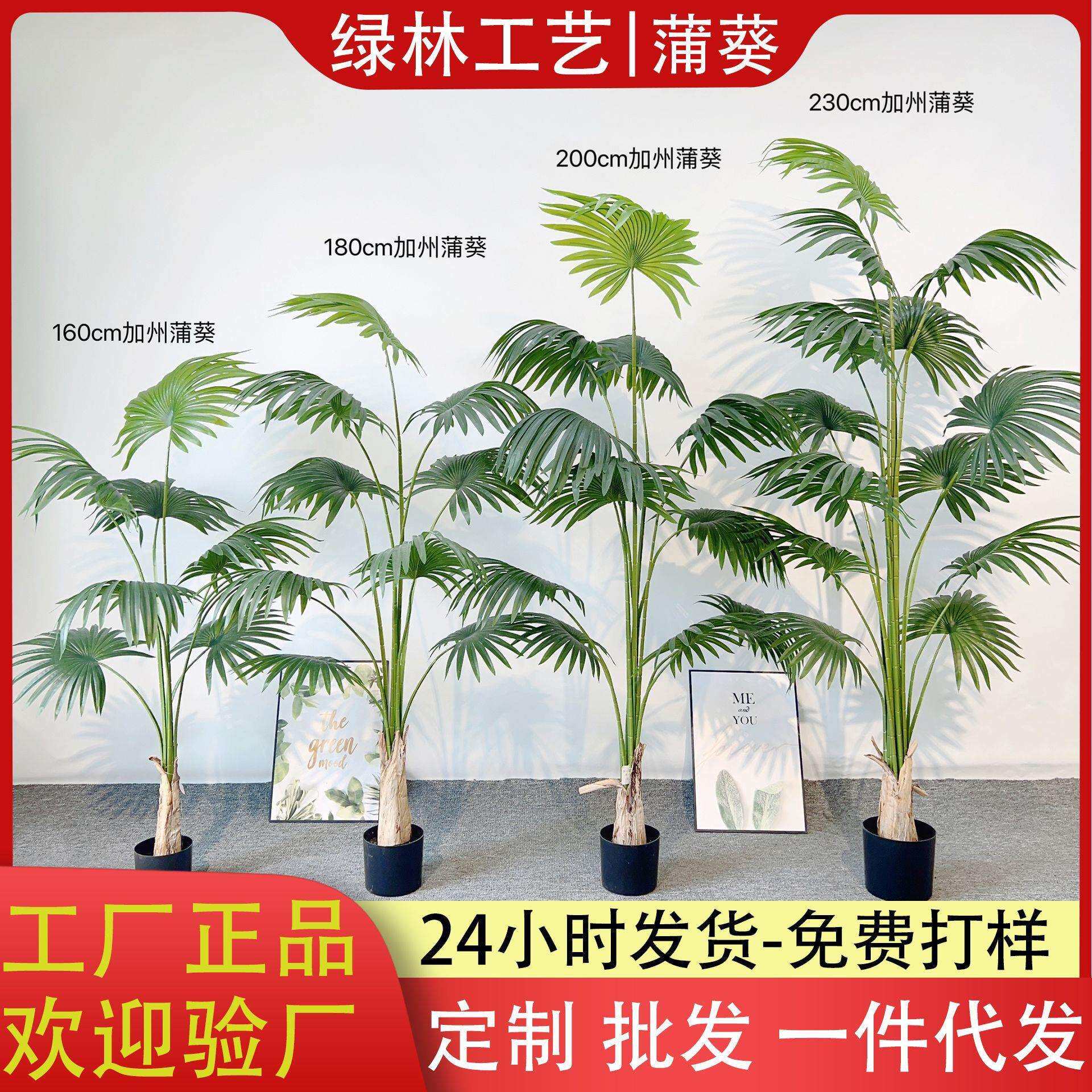 北欧热带加州蒲葵仿真绿植盆栽 客厅落地圆叶扇葵树绿植盆景摆件