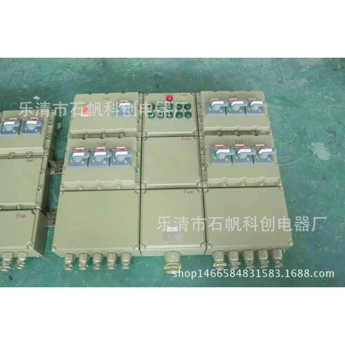 甲胺泵防爆操作箱液氨泵防爆操作箱BXM53-6/16K800拼体BDG58.
