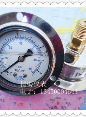 YN-50ZT,表壳不锈钢50MM轴向带边（嵌装式）0－4KG充油耐震压力表
