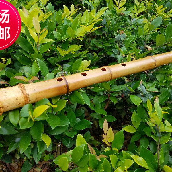 尺八晓云优质三云舒厚礼精造新款5孔D管悠唐口外切镶牛角歌