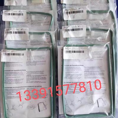 -赛康加拿大式蒸汽0an0密封圈配件密封圈50S卡灭菌器iCSc原装进口