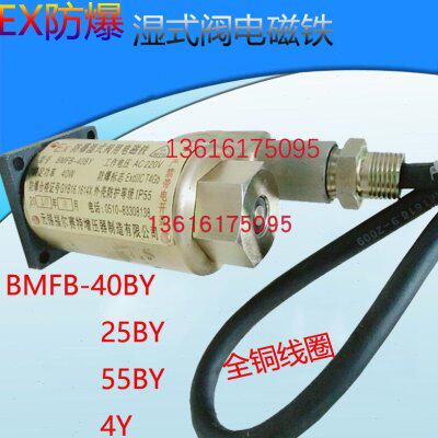 25 8G用-X BE5BB式MB阀40M BYM-YB1FY 4F5.防爆- BY电磁铁FBY 湿