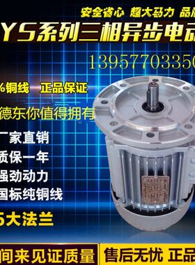 铜线国标德东三相异步电动机YS6334/380V/0.25KW/转速/1400r/min