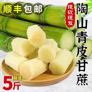 脆绿皮新鲜应季 正宗陶山甘蔗青皮无节独立包装 水果 下单立减50