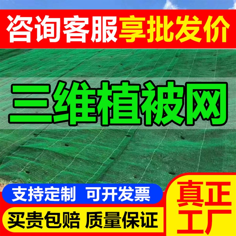 三维植被网d河道山体固土护坡绿化加筋em34环保绿色喷播植草垫厂