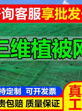 三维植被网d河道山体固土护坡绿化加筋em34环保绿色喷播植草垫厂