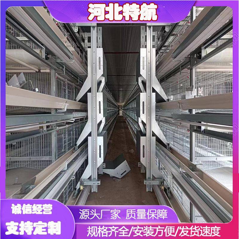 小层叠鸡笼蛋鸡养殖设备全自动捡蛋清粪蛋鸡设备配件层叠式