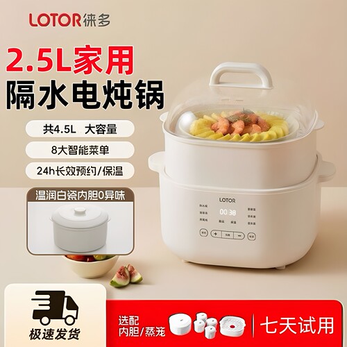 lotor徕多大白电炖锅小浣熊陶瓷隔水炖盅电炖锅家用煲汤锅多功能