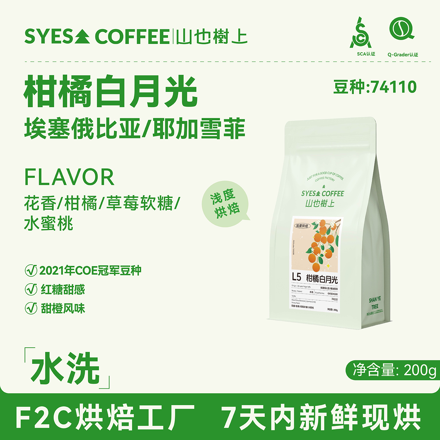 山也树上耶加雪菲手冲咖啡豆