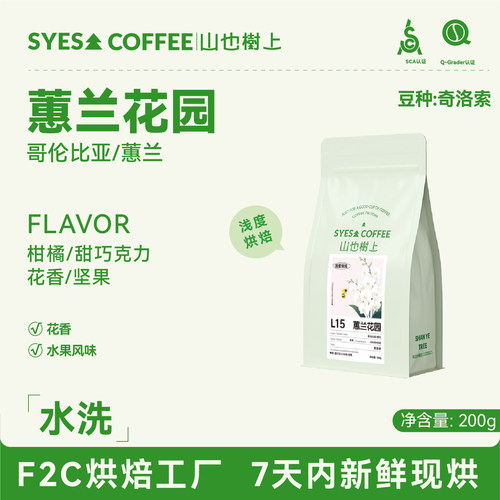山也树上哥伦比亚奇洛索咖啡豆