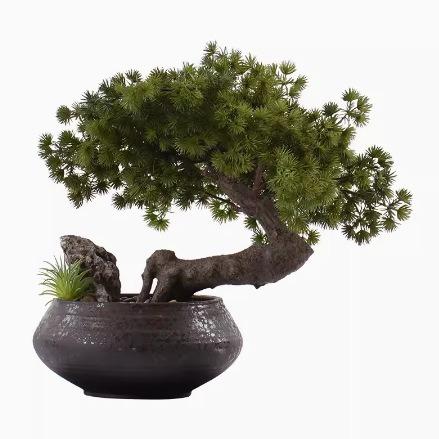 新中式迎客松树盆景摆件茶桌枯山水博古架玄关装饰品绿植案台盆栽