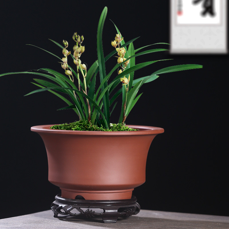 花盆 盆景盆 精品古典陶s瓷紫砂绿多肉植室内桌面素面带托紫砂花