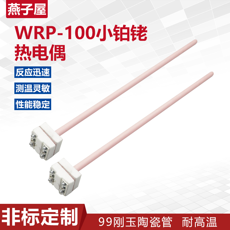 S小型铂铑热电偶马弗炉电炉用高温刚玉温度传H感器WRP-100 S型 B