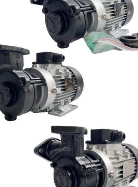 水泵B泵温K高泵导热油温0热175 /机电动-铸铁模15  WS.YHP循环泵