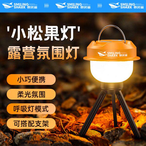 灯挂天幕帐篷氛围充电支架灯灯松果灯地户外防水超长续航露营灯营