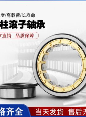 N /UE42滚轴承 J4 专用CM8振动筛NP6子 圆柱