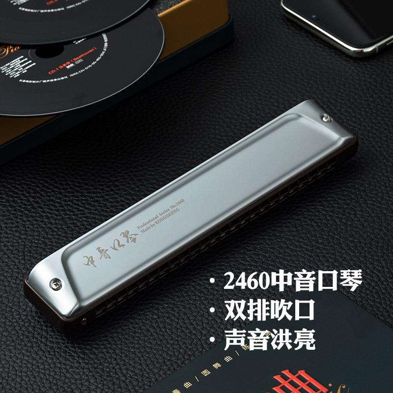 孔声24孔中音口琴C#调进口音簧成人乐队半音阶乐器C调24孔口琴