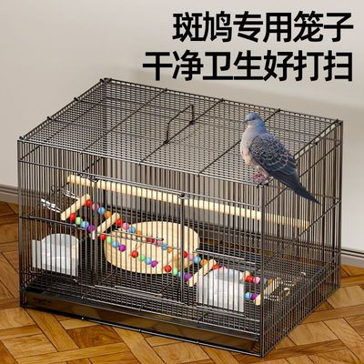 斑鸠专用笼子斑鸠鸟笼养殖笼子养斑鸠活鸟家养的笼子超大号繁殖窝