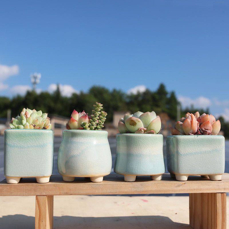 多肉花盆可爱简约桌面创意个性冰裂流釉彩虹渐变色方形拇指盆包邮,家居饰品,花盆,淘宝优惠券,粉丝福利购,淘宝优惠卷