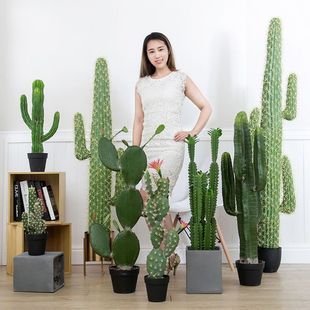 假仿真绿植大型网红仙人掌摆件北欧家居室内植物盆栽仙人柱装饰