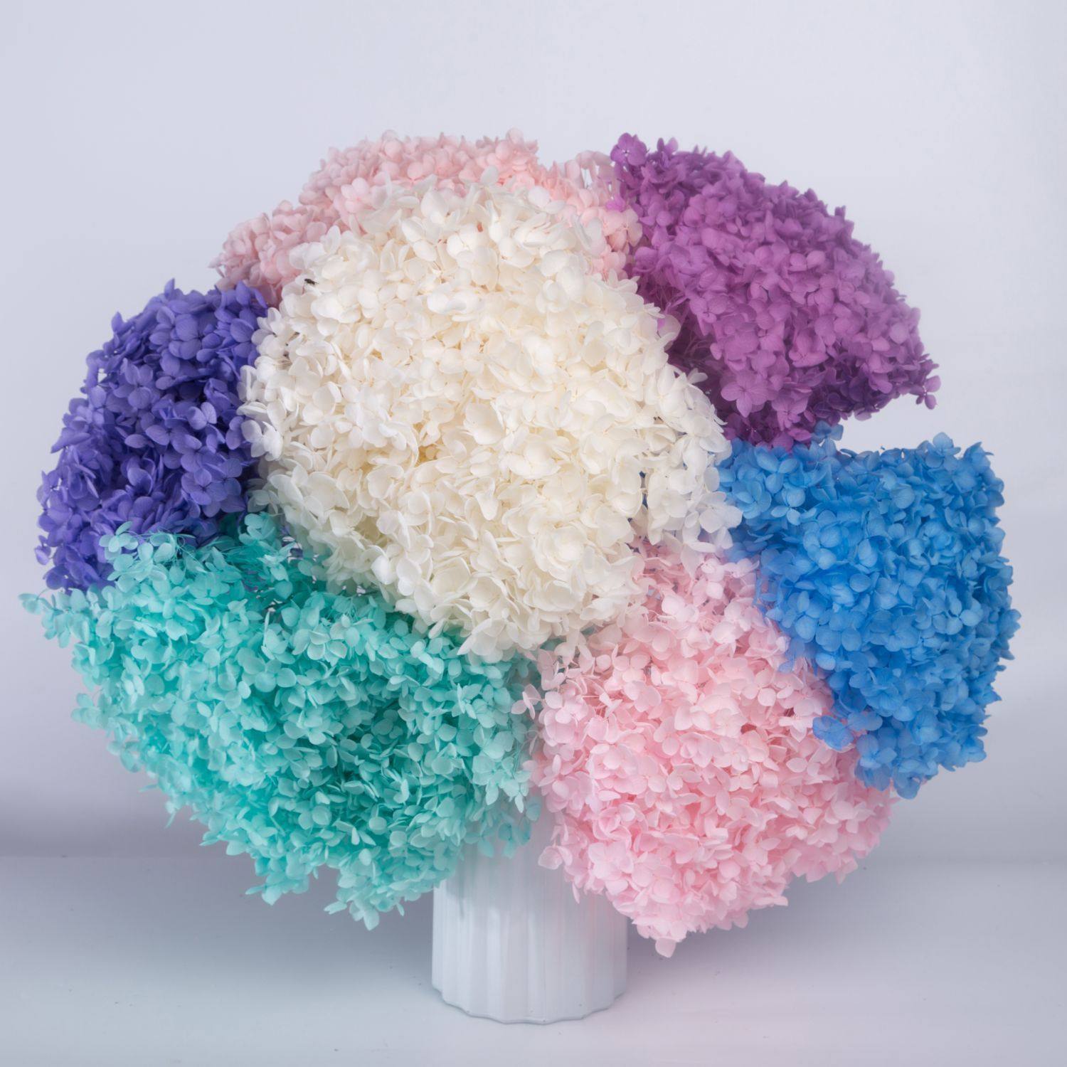 安娜绣球云南工厂 diy手工小叶客厅花店干花网红品,家居饰品,干花/花瓣/干花包/干树枝,淘宝优惠券,粉丝福利购,淘宝优惠卷