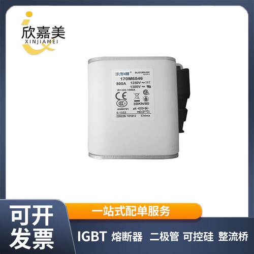 170M6546 170M6548 快速熔断器 保险丝 电子元器件 量大价优
