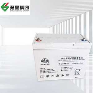 双登蓄电池6-GFM-406-GFM-656-GFM-1006-GFM-1506-GFM-200