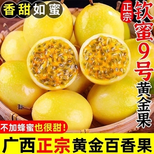 【下单立减50】广西钦蜜9号黄金百香果新鲜现摘香甜果汁饱满九甜