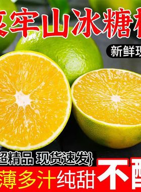 【下单立减50】正宗云南哀牢山老树金黄冰糖橙现摘现发皮薄