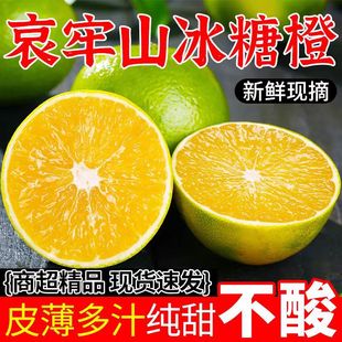 【下单立减50】正宗云南哀牢山老树金黄冰糖橙现摘现发皮薄