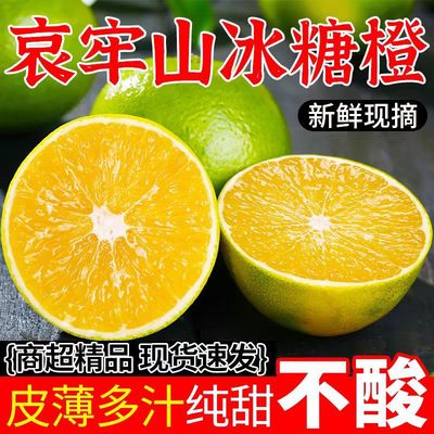 【下单立减50】正宗云南哀牢山老树金黄冰糖橙现摘现发皮薄