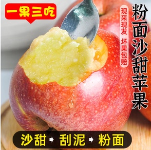 【下单立减50】秦冠苹果粉面沙甜苹果新鲜水果宝宝老人皆宜粉糯