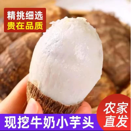 【下单立减50】牛奶小芋头新鲜现挖毛芋奶香芋软糯农家蔬菜